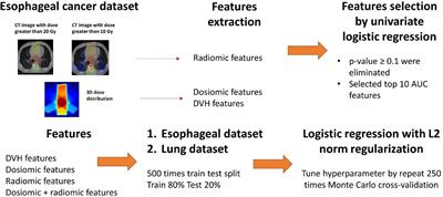 Radiomic and Dosiomic Features for the Prediction of Radiation Pneumonitis Across Esophageal Cancer and Lung Cancer